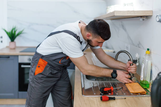 Best Affordable Plumber Near Me  in Venice Gardens, FL