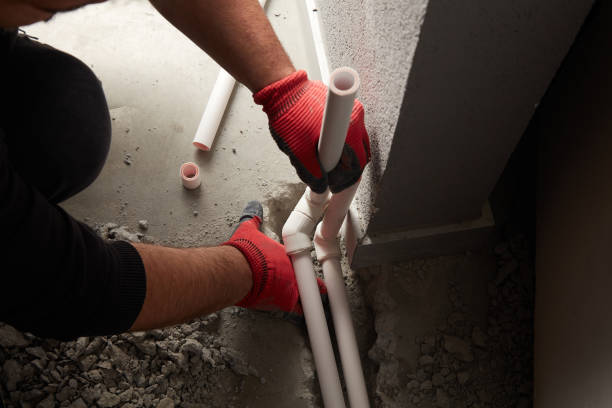 Best Clogged Drain Plumber  in Venice Gardens, FL