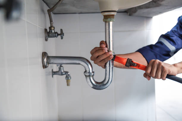 Best Shower Repair Services  in Venice Gardens, FL